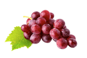 Óleo de semilla de uva