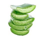 Extracto de aloe vera