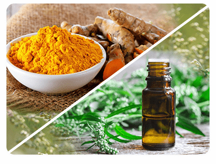 Papaya Cleanse Producto
